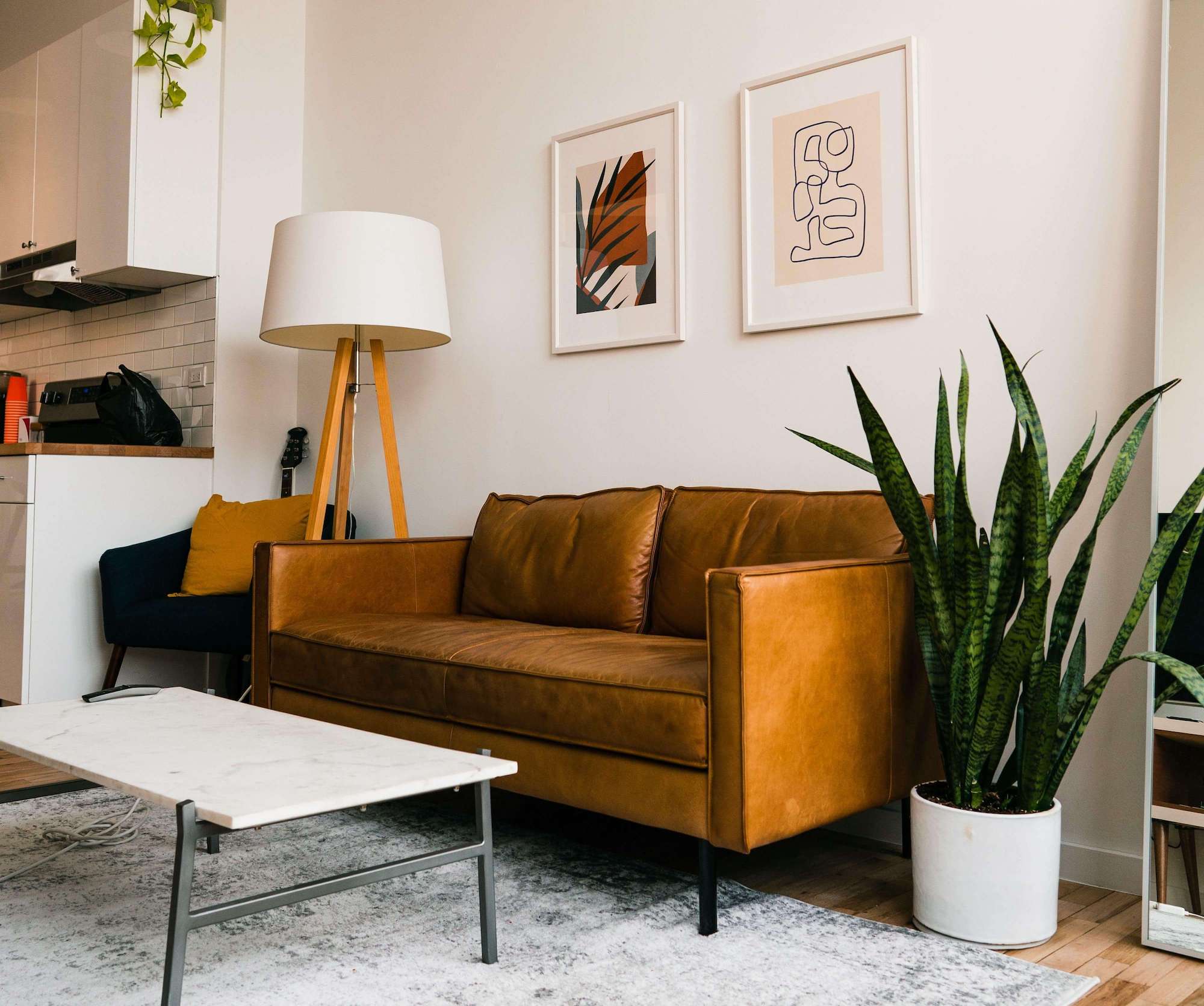 Living room with leather couch and plants